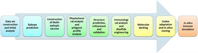 A Computational Reverse Vaccinology Approach for the Design and Development of Multi-Epitopic Vaccine Against Avian Pathogen Mycoplasma gallisepticum